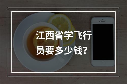 江西省学飞行员要多少钱？