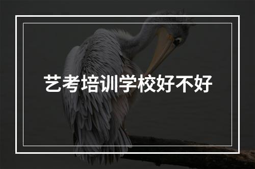 艺考培训学校好不好