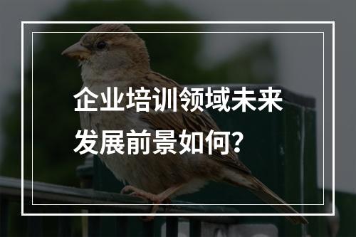 企业培训领域未来发展前景如何？