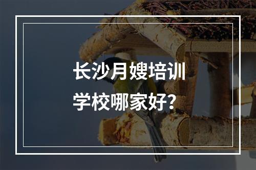 长沙月嫂培训学校哪家好？