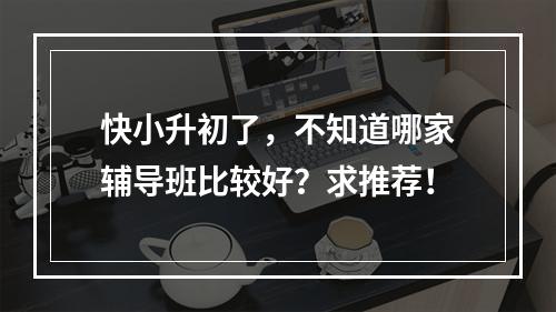 快小升初了，不知道哪家辅导班比较好？求推荐！