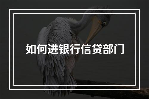 如何进银行信贷部门