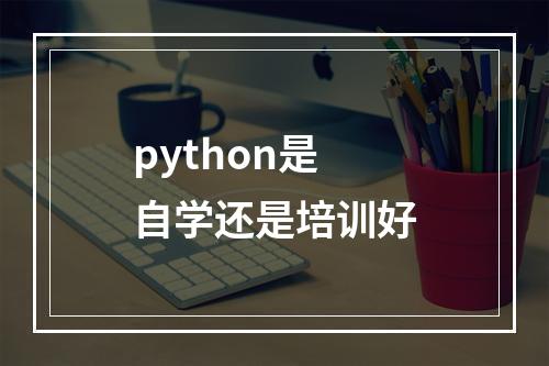 python是自学还是培训好