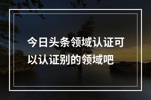 今日头条领域认证可以认证别的领域吧