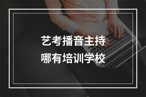 艺考播音主持哪有培训学校