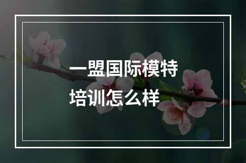 一盟国际模特培训怎么样