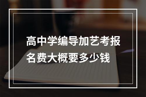 高中学编导加艺考报名费大概要多少钱