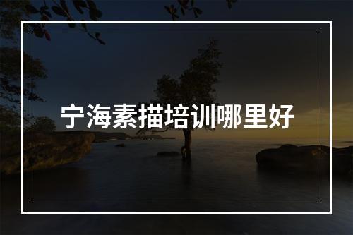 宁海素描培训哪里好