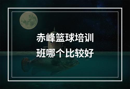 赤峰篮球培训班哪个比较好