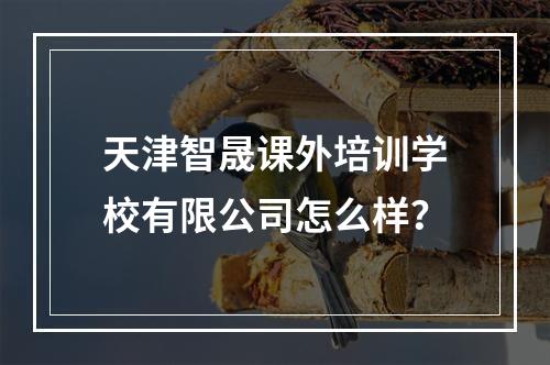 天津智晟课外培训学校有限公司怎么样？