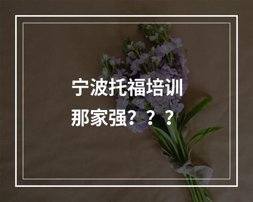 宁波托福培训那家强？？？