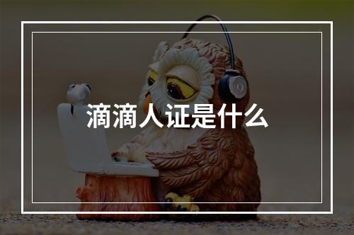 滴滴人证是什么