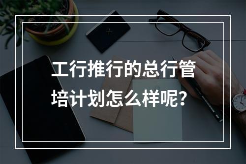 工行推行的总行管培计划怎么样呢？