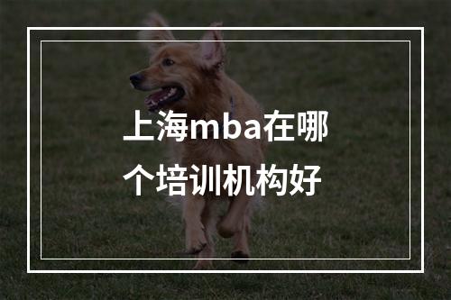 上海mba在哪个培训机构好