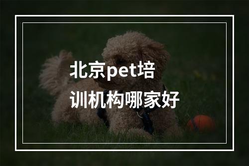 北京pet培训机构哪家好