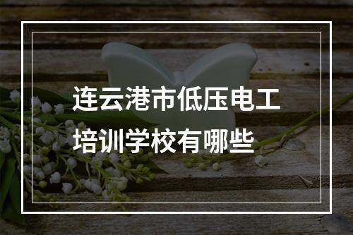 连云港市低压电工培训学校有哪些