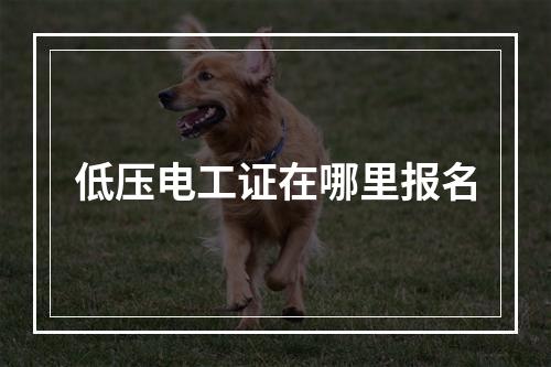 低压电工证在哪里报名