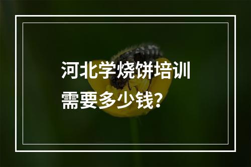 河北学烧饼培训需要多少钱？