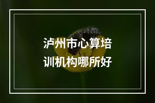 泸州市心算培训机构哪所好