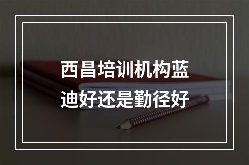 西昌培训机构蓝迪好还是勤径好