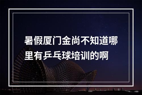 暑假厦门金尚不知道哪里有乒乓球培训的啊