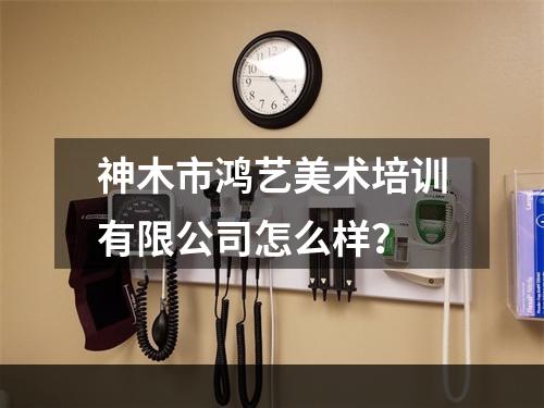 神木市鸿艺美术培训有限公司怎么样？