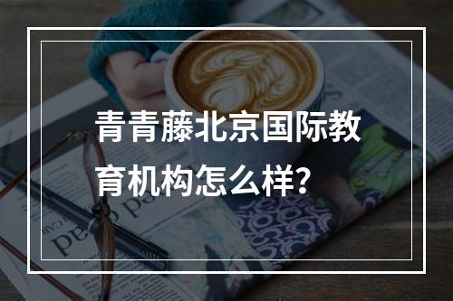 青青藤北京国际教育机构怎么样？