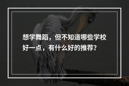 想学舞蹈，但不知道哪些学校好一点，有什么好的推荐？