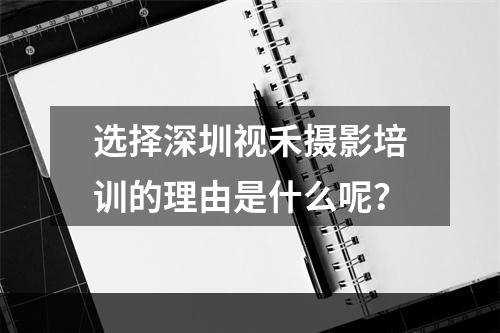 选择深圳视禾摄影培训的理由是什么呢？