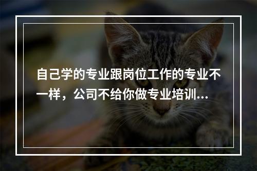 自己学的专业跟岗位工作的专业不一样，公司不给你做专业培训，就让你直接让你上岗，能做好的概率会高吗？