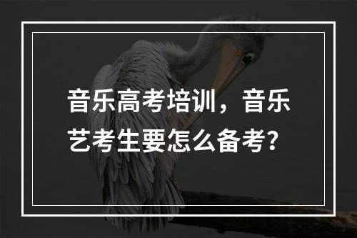 音乐高考培训，音乐艺考生要怎么备考？