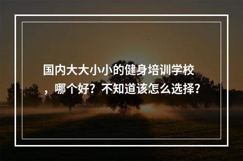 国内大大小小的健身培训学校 ，哪个好？不知道该怎么选择？