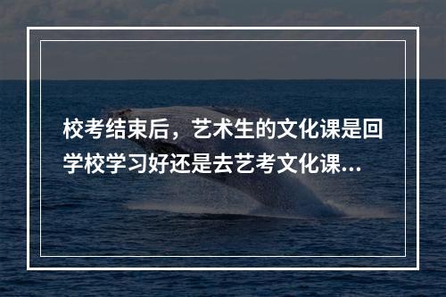 校考结束后，艺术生的文化课是回学校学习好还是去艺考文化课培训学校好