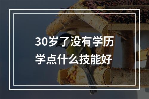 30岁了没有学历学点什么技能好