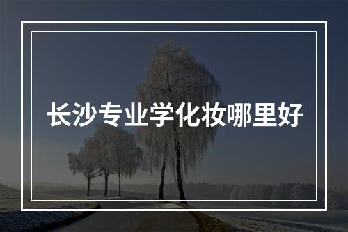 长沙专业学化妆哪里好