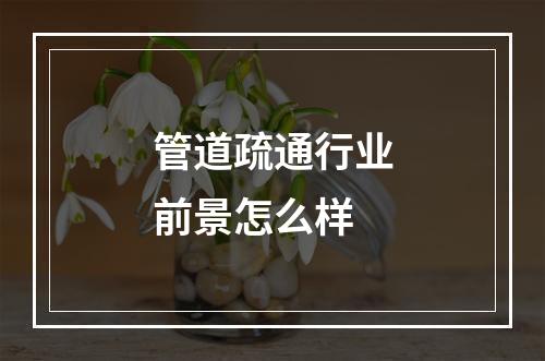 管道疏通行业前景怎么样