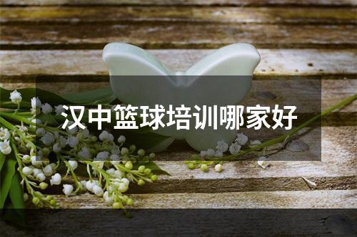 汉中篮球培训哪家好