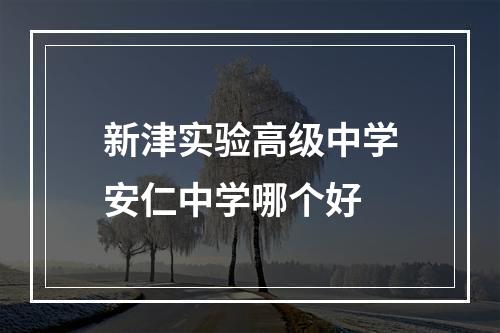 新津实验高级中学安仁中学哪个好