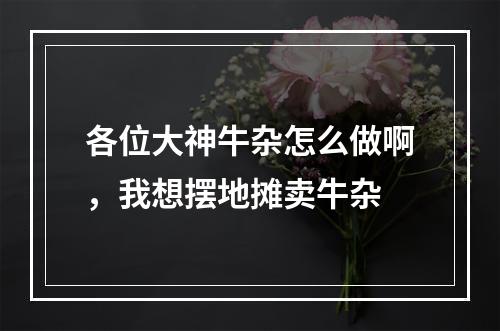 各位大神牛杂怎么做啊，我想摆地摊卖牛杂