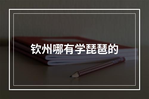 钦州哪有学琵琶的