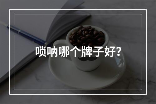 唢呐哪个牌子好？