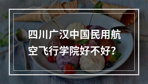 四川广汉中国民用航空飞行学院好不好？