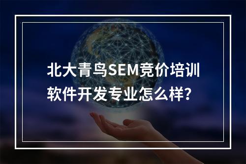 北大青鸟SEM竞价培训软件开发专业怎么样？