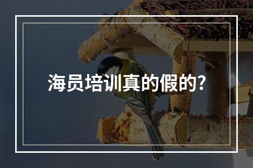 海员培训真的假的?