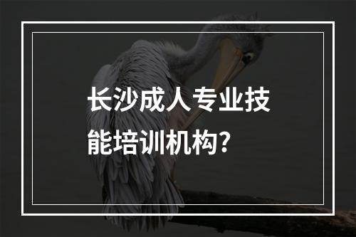 长沙成人专业技能培训机构?