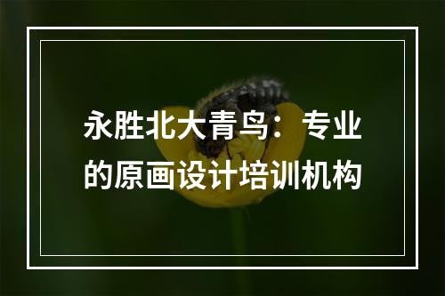 永胜北大青鸟：专业的原画设计培训机构