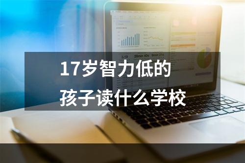 17岁智力低的孩子读什么学校