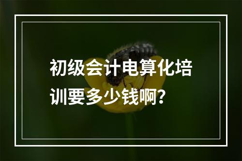 初级会计电算化培训要多少钱啊？