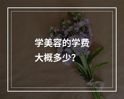 学美容的学费大概多少？