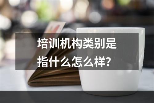 培训机构类别是指什么怎么样？